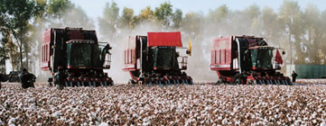 農機事業(yè)部